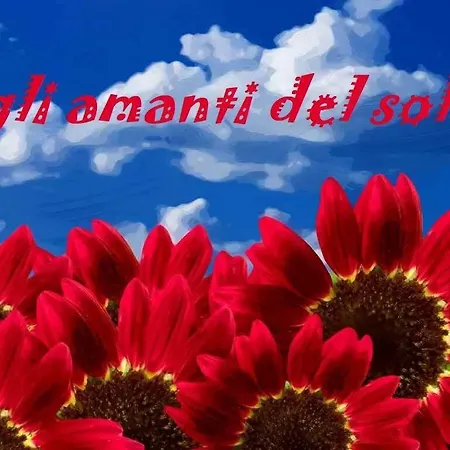 Gli Amanti Del Sole - Acconia-cz
